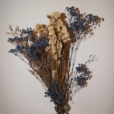 Le Petit Capoine 2- T2 Plein Centre De Carcassonne- קרקסון