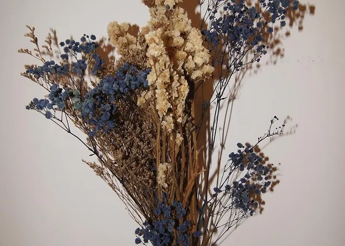 Le Petit Capoine 2- T2 Plein Centre De Carcassonne- Каркассон