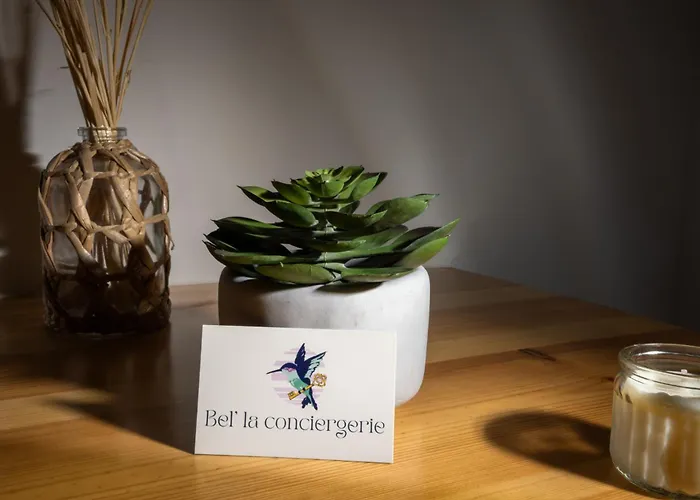 Διαμέρισμα Le Petit Capoine 2- T2 Plein Centre De Carcassonne- *